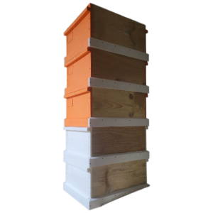 Demonte Kovan Ballık 50.5x42.5